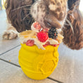 Load image into Gallery viewer, Soda Pup - Honey Pot - Chew and Enrichment Toy - Teddy DogWear
