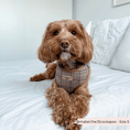 Load image into Gallery viewer, Cocopup London - Pup Plaid Adjustable Neck Harness - Teddy DogWear
