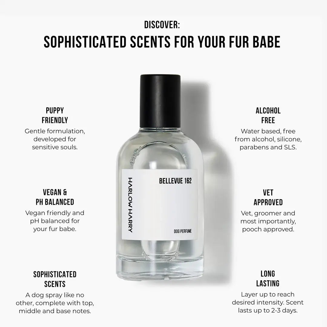 HARLOW HARRY - Dog Perfume | Bellevue 162 - Teddy DogWear