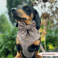 Load image into Gallery viewer, Cocopup London - Pup Plaid Adjustable Neck Harness - Teddy DogWear
