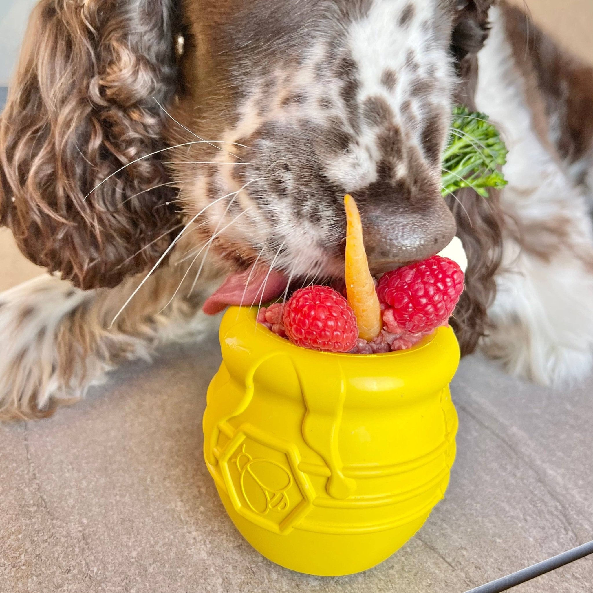 Soda Pup - Honey Pot - Chew and Enrichment Toy - Teddy DogWear