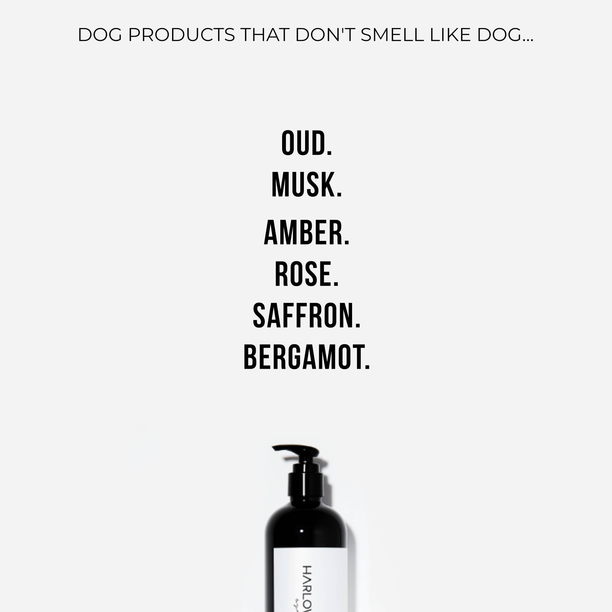 HARLOW HARRY - 2 - in - 1 Conditioning Dog Shampoo | Solera 145 - Teddy DogWear