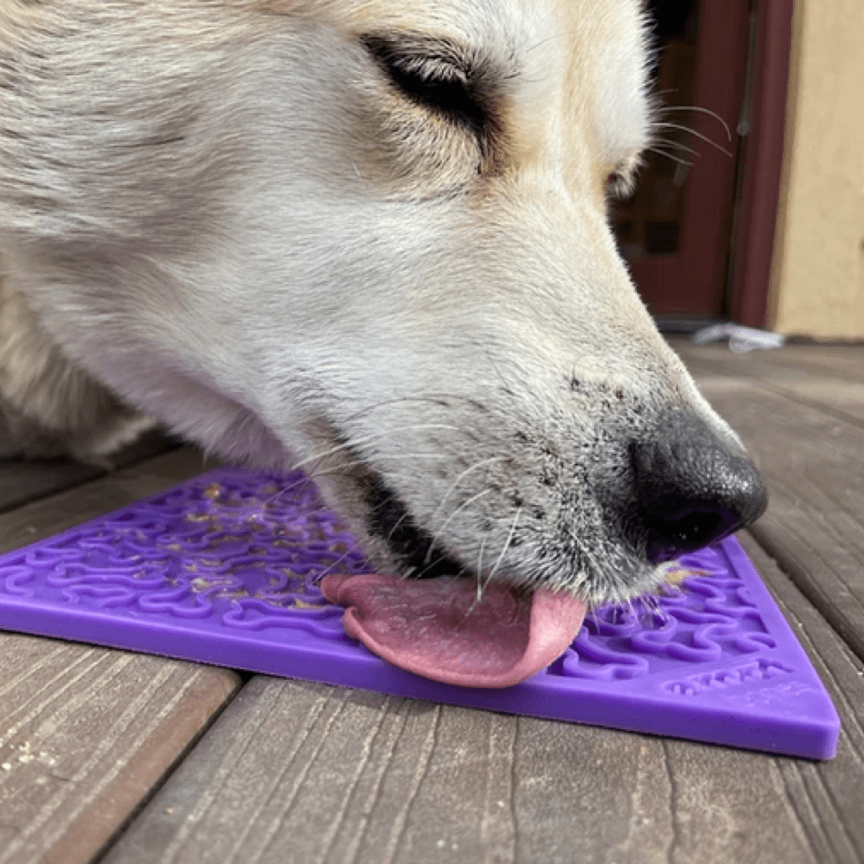 Soda Pup - Bones Emat Enrichment Lick Mat - Teddy DogWear