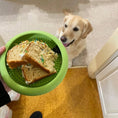 Load image into Gallery viewer, Rover Pet Products - Pawty Cake - Teddy DogWear
