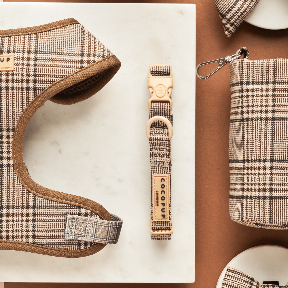 Cocopup London - Pup Plaid Collar - Teddy DogWear