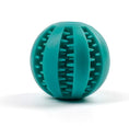 Load image into Gallery viewer, Aqua dog chew ball
