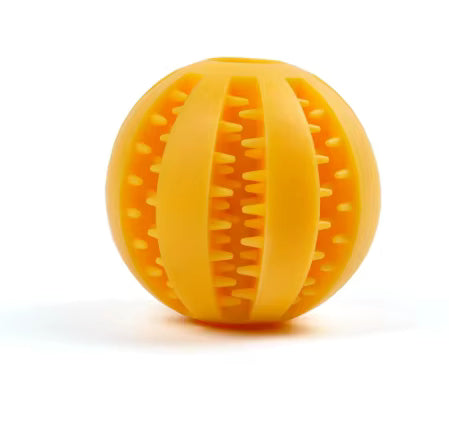 orange dog chew ball