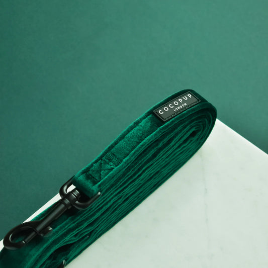 Cocopup London – LUXE Dog Lead – Forest Green Velvet - Teddy DogWear