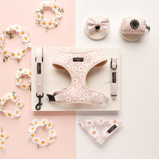 Cocopup London Daisy Chain - Teddy DogWear