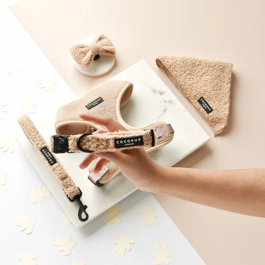 Cocopup London – Dog Collar – Teddy Rupert - Teddy DogWear