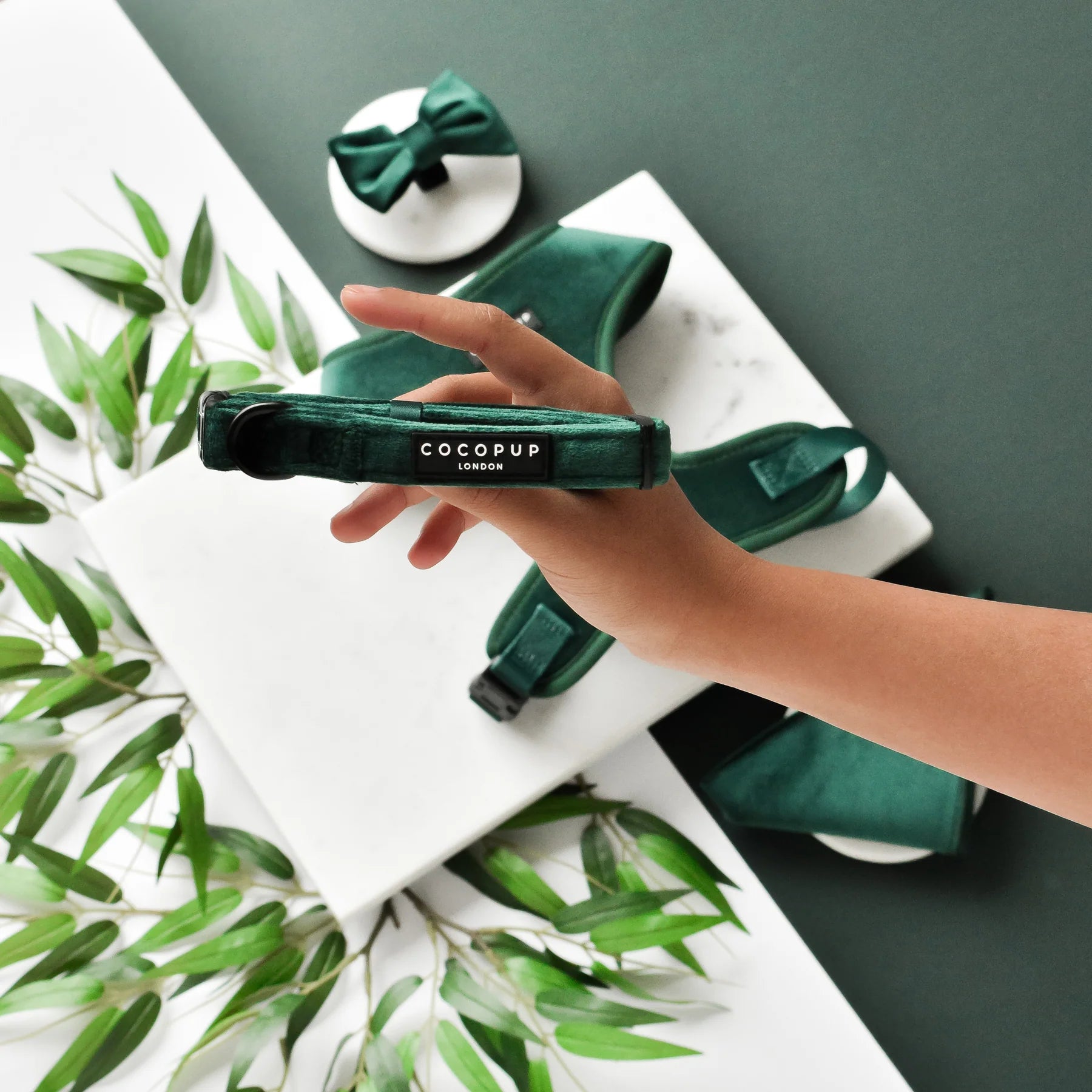 Cocopup London – LUXE Dog Collar – Forest Green Velvet - Teddy DogWear