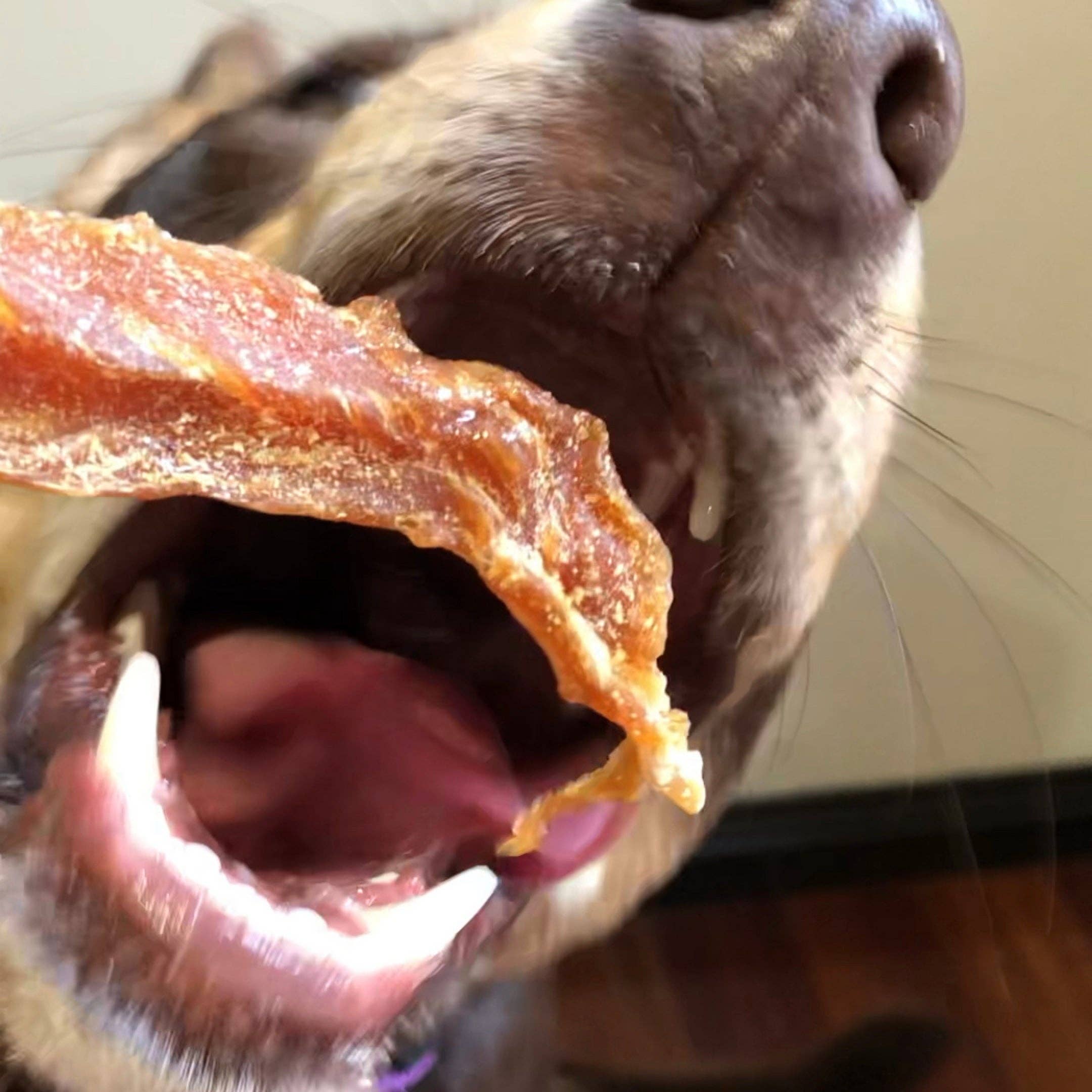 Rover Pet Products - Roast Chicken Dinner - Chicken Breast Jerky - Teddy DogWear