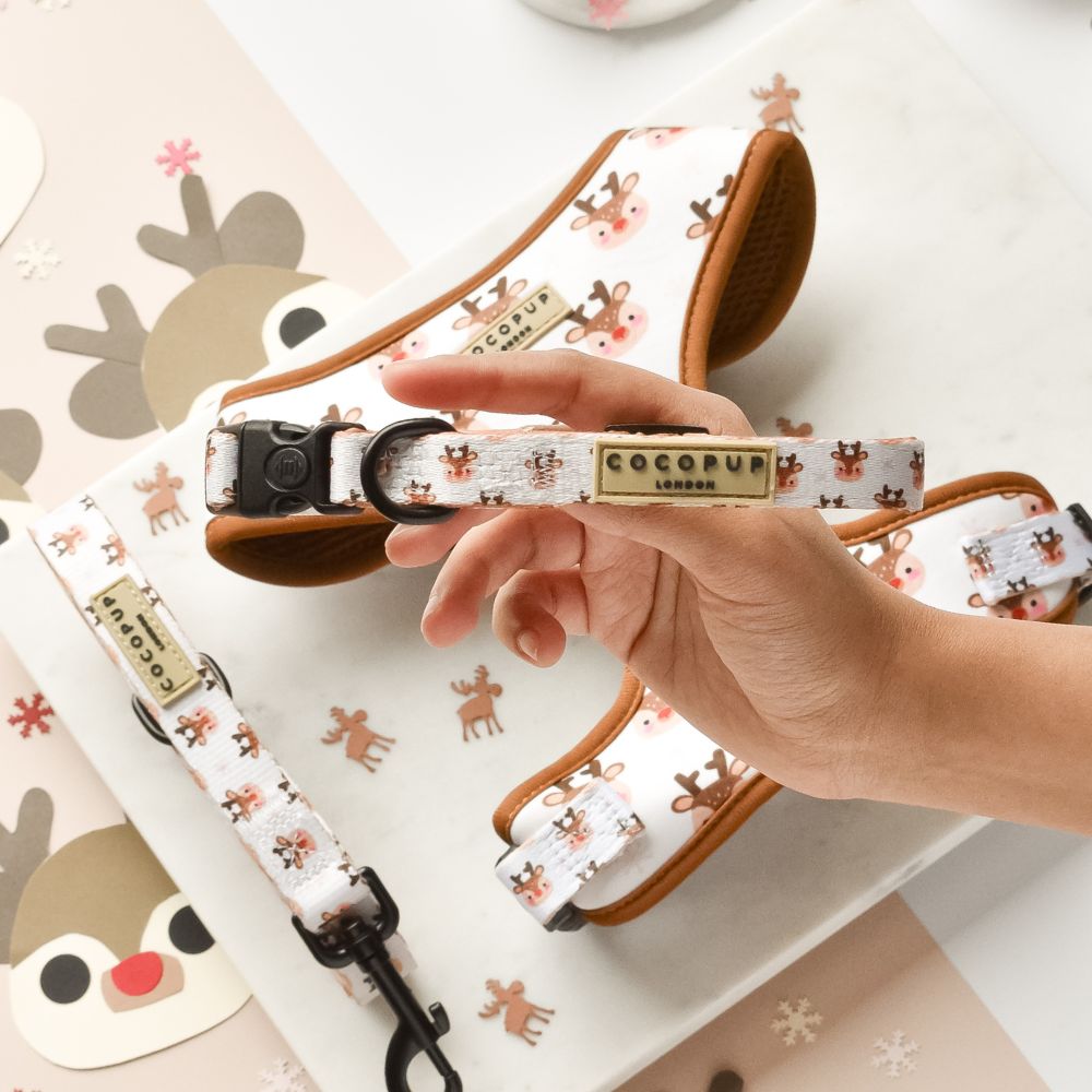 Cocopup London – Dog Collar – Ralphie Reindeer - Teddy DogWear