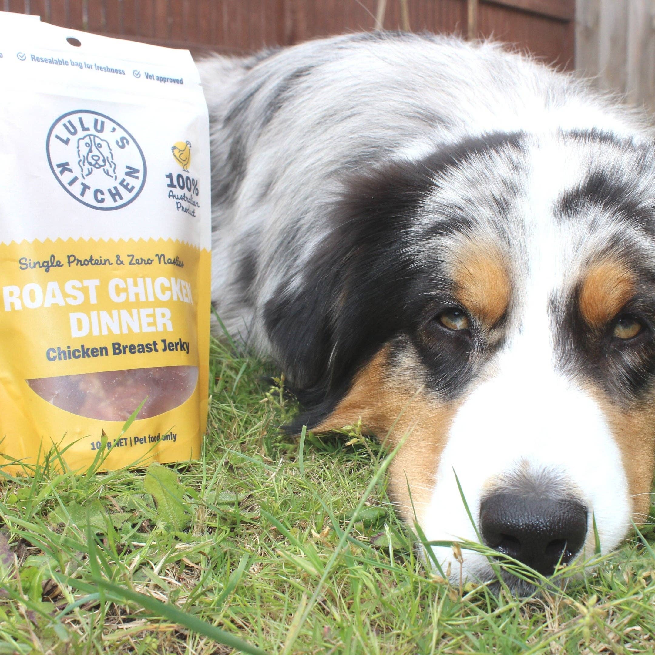 Rover Pet Products - Roast Chicken Dinner - Chicken Breast Jerky - Teddy DogWear