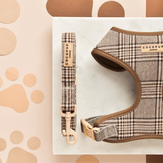Cocopup London - Pup Plaid Lead - Teddy DogWear