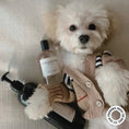 Load image into Gallery viewer, HARLOW HARRY - Dog Perfume | Bellevue 162 - Teddy DogWear
