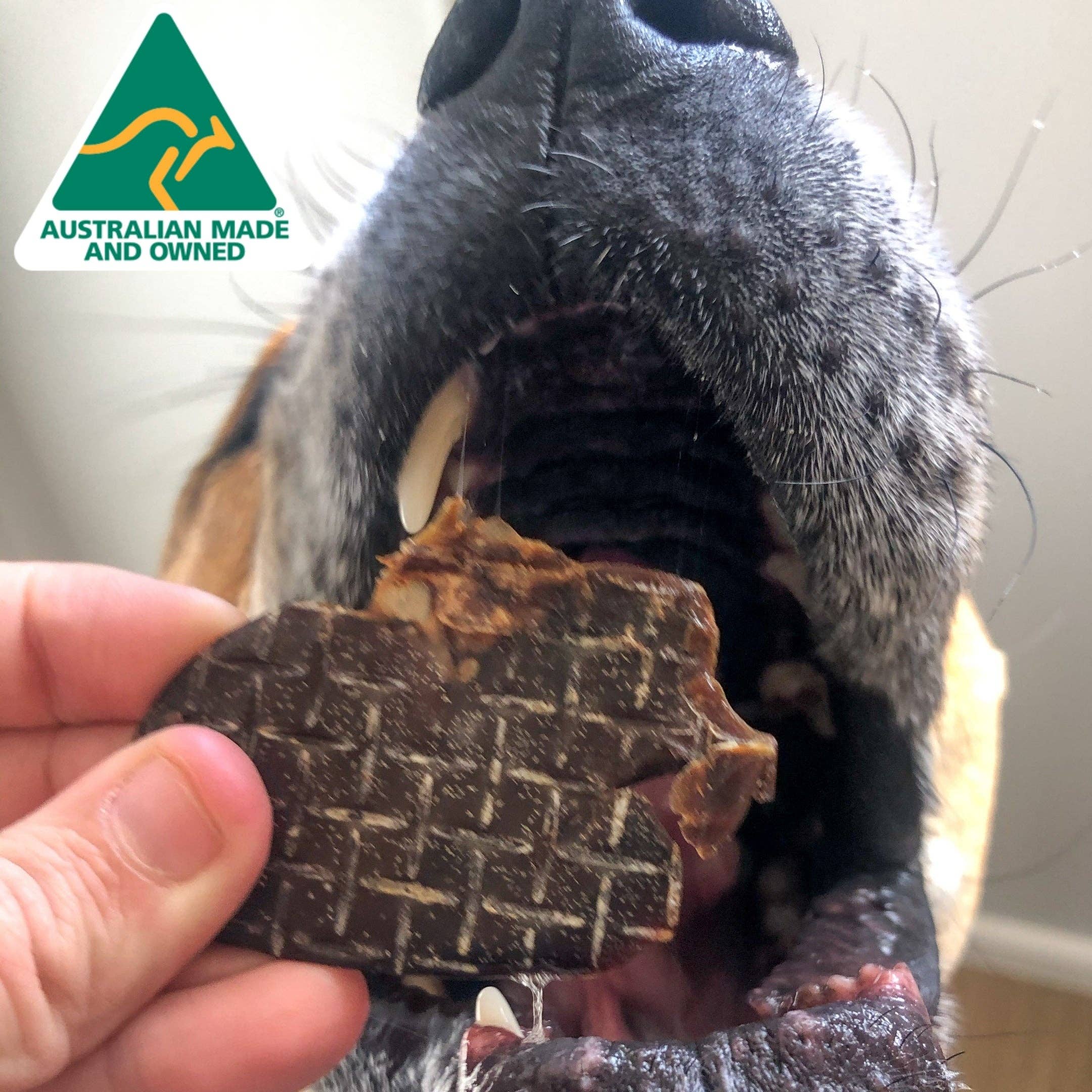 Rover Pet Products - Kanga Kidney - Kangaroo Kidney - Teddy DogWear