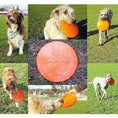 Load image into Gallery viewer, Rover Pet Products - Original Bottle Top Flyers - Teddy DogWear

