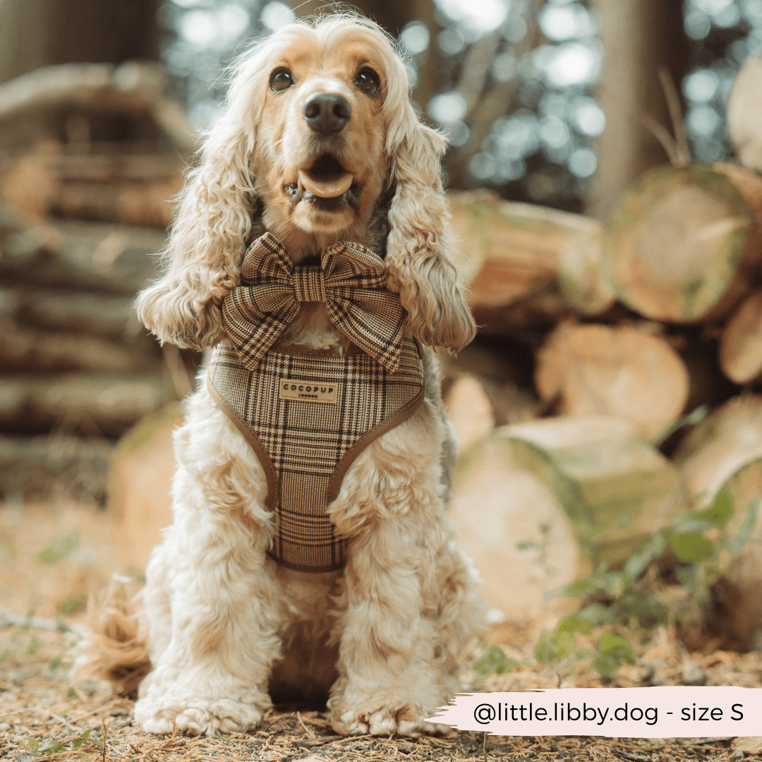 Cocopup London - Pup Plaid Adjustable Neck Harness - Teddy DogWear