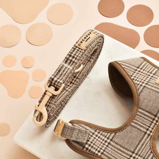 Cocopup London - Pup Plaid Lead - Teddy DogWear
