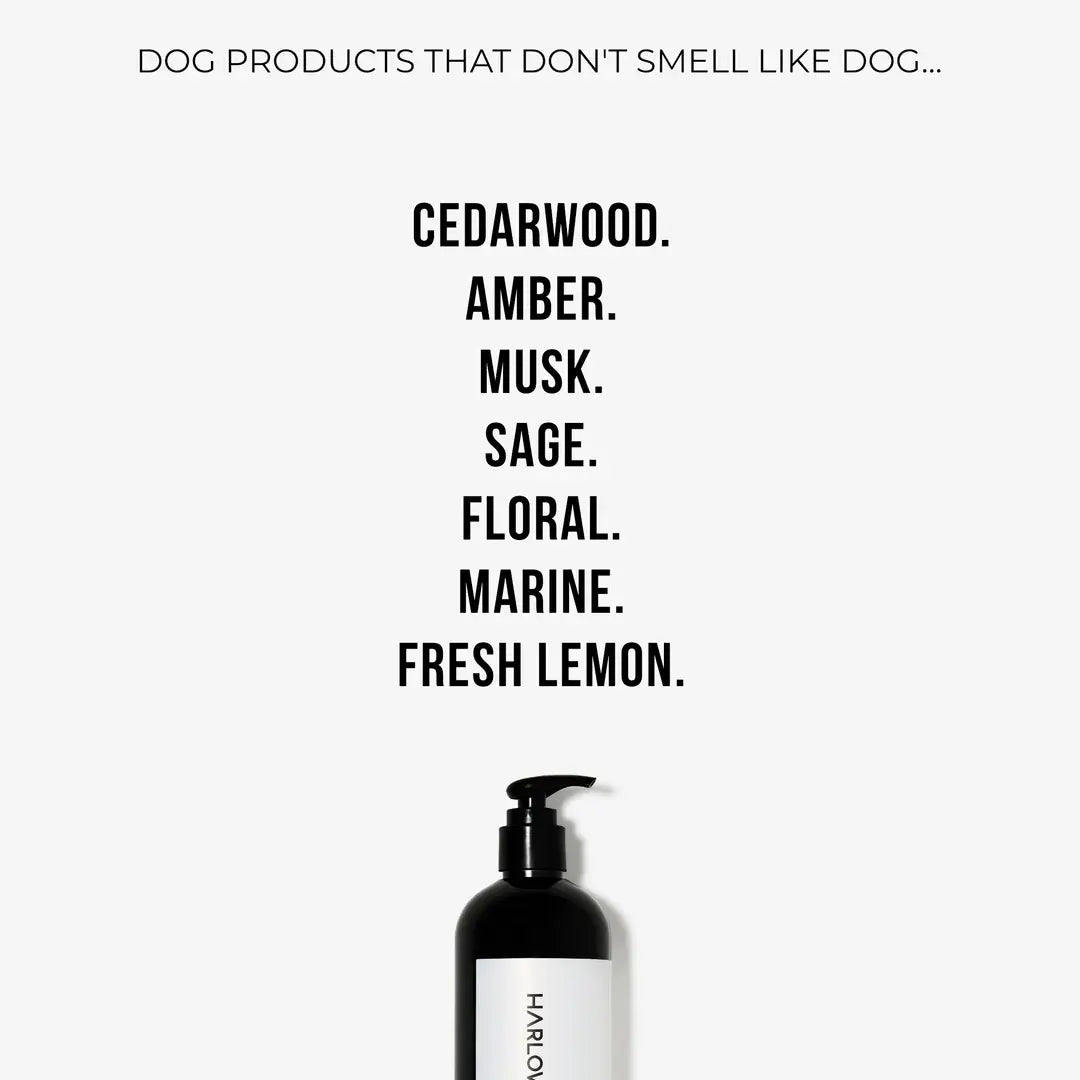 HARLOW HARRY - 2 - in - 1 Conditioning Dog Shampoo | Hunter 33 - Teddy DogWear