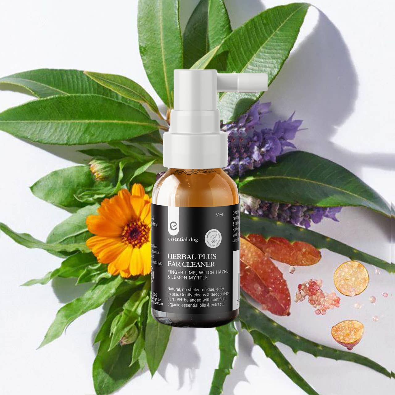 Essential Dog - Dog Grooming Bundle Pack 1 - Teddy DogWear