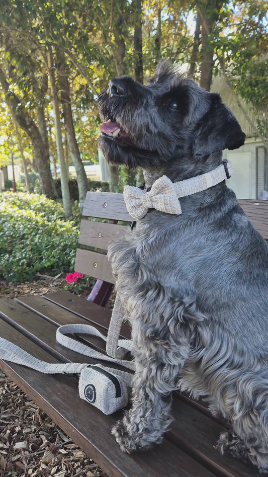 Chai Bow Tie