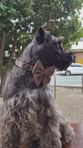 Load and play video in Gallery viewer, Plaid Sailors Bow Tie DK
