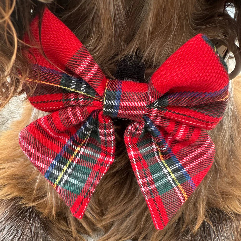 Cocopup London – Sailor Bow Tie – Tartan - Teddy DogWear