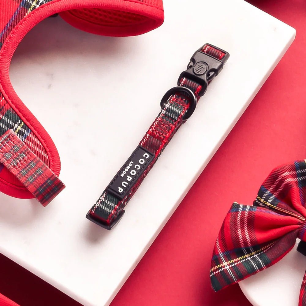Cocopup London – Dog Collar – Tartan - Teddy DogWear