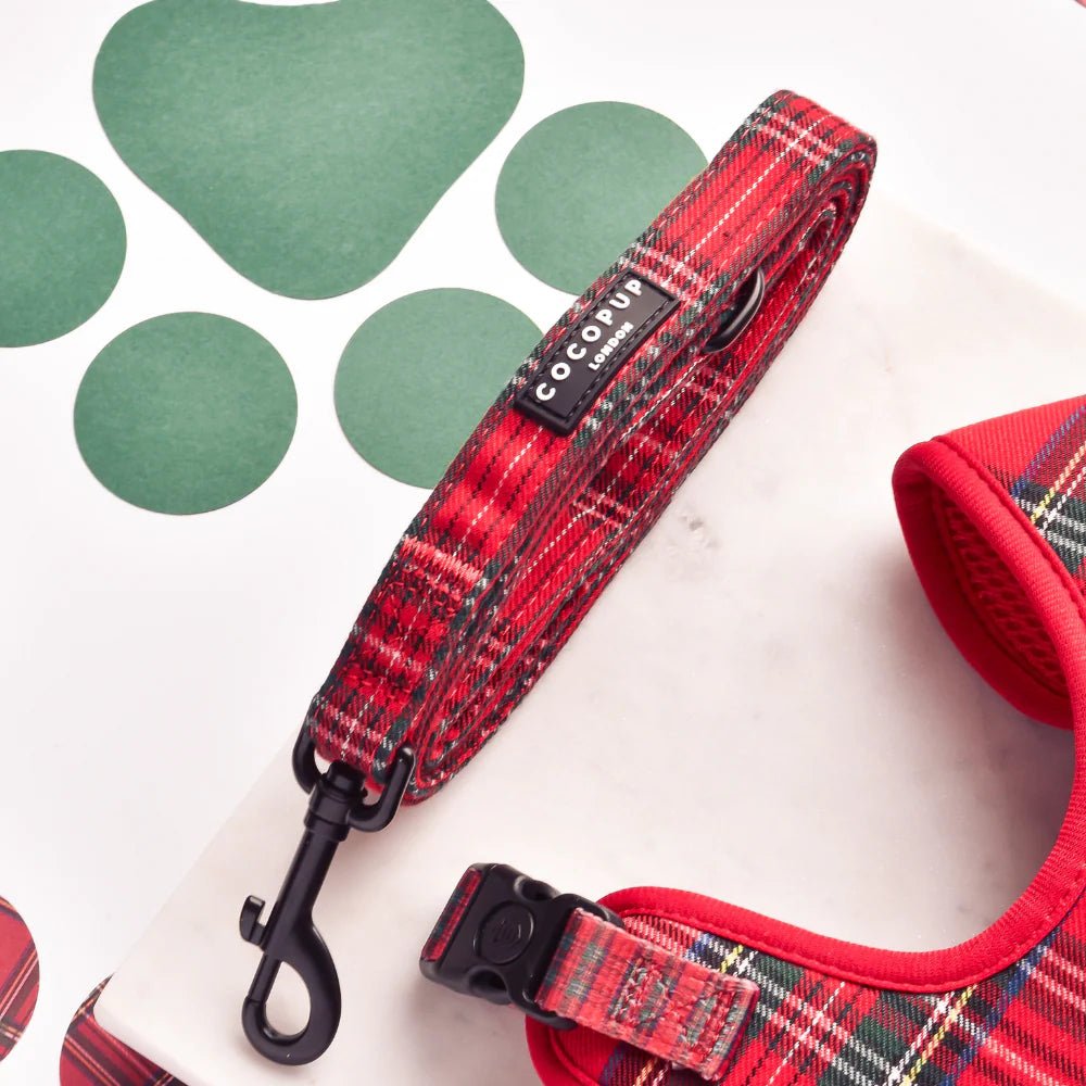 Cocopup London – Dog Lead – Tartan - Teddy DogWear
