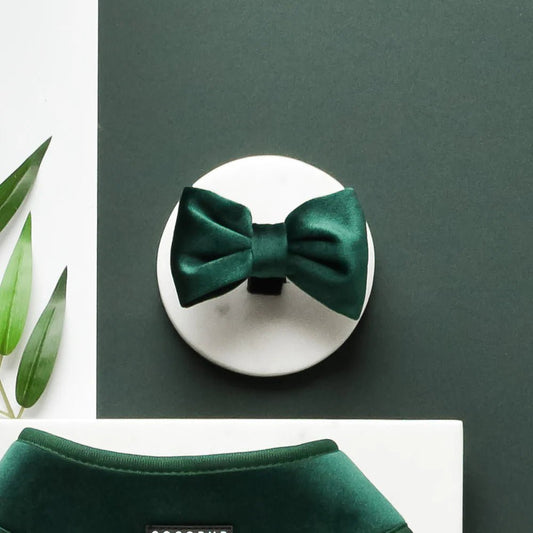Cocopup London – LUXE Bow Tie – Forest Green Velvet - Teddy DogWear